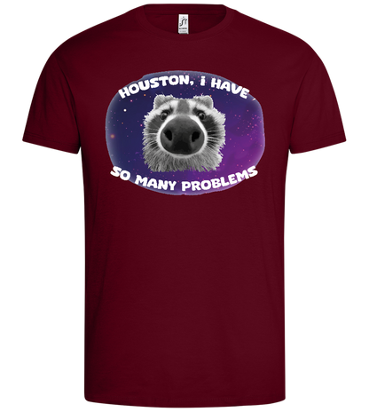 Houston I Have Problems Design - Premium men's t-shirt_CHILE_front