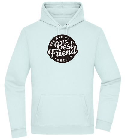 You Are My Best Friend Forever Design - Premium Essential Unisex Hoodie_ARCTIC BLUE_front