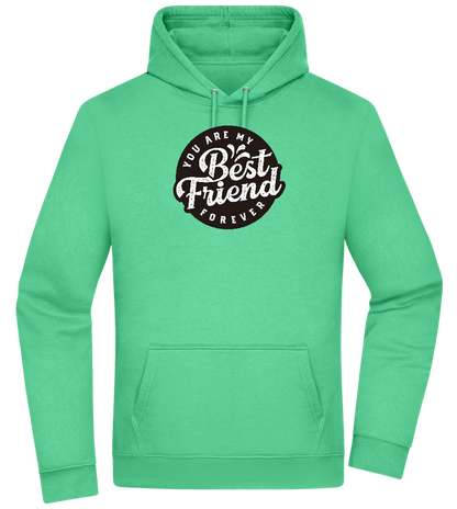 You Are My Best Friend Forever Design - Premium Essential Unisex Hoodie_SPRING GREEN_front