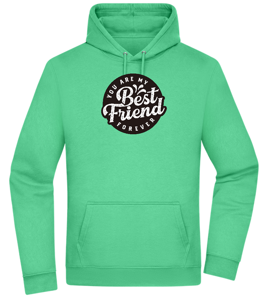 You Are My Best Friend Forever Design - Premium Essential Unisex Hoodie_SPRING GREEN_front