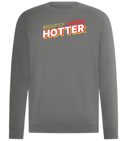 1 Degree Hotter Design - Comfort unisex sweater_ORION GREY II_front