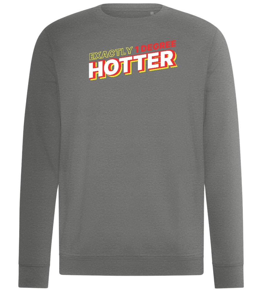 1 Degree Hotter Design - Comfort unisex sweater_ORION GREY II_front