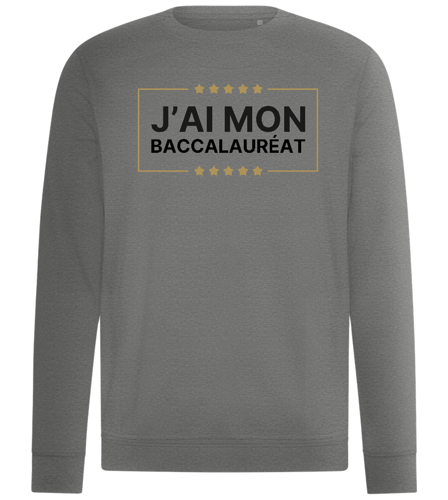 J'ai Mon Bac Design - Comfort unisex sweater_ORION GREY II_front