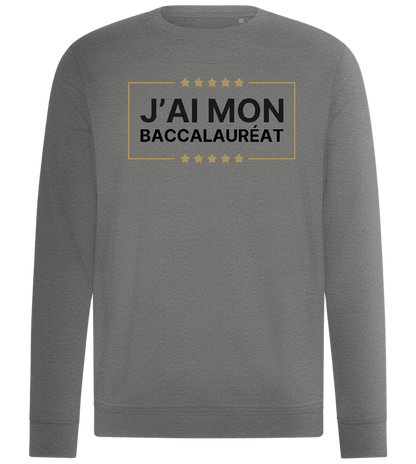 J'ai Mon Bac Design - Comfort unisex sweater_ORION GREY II_front