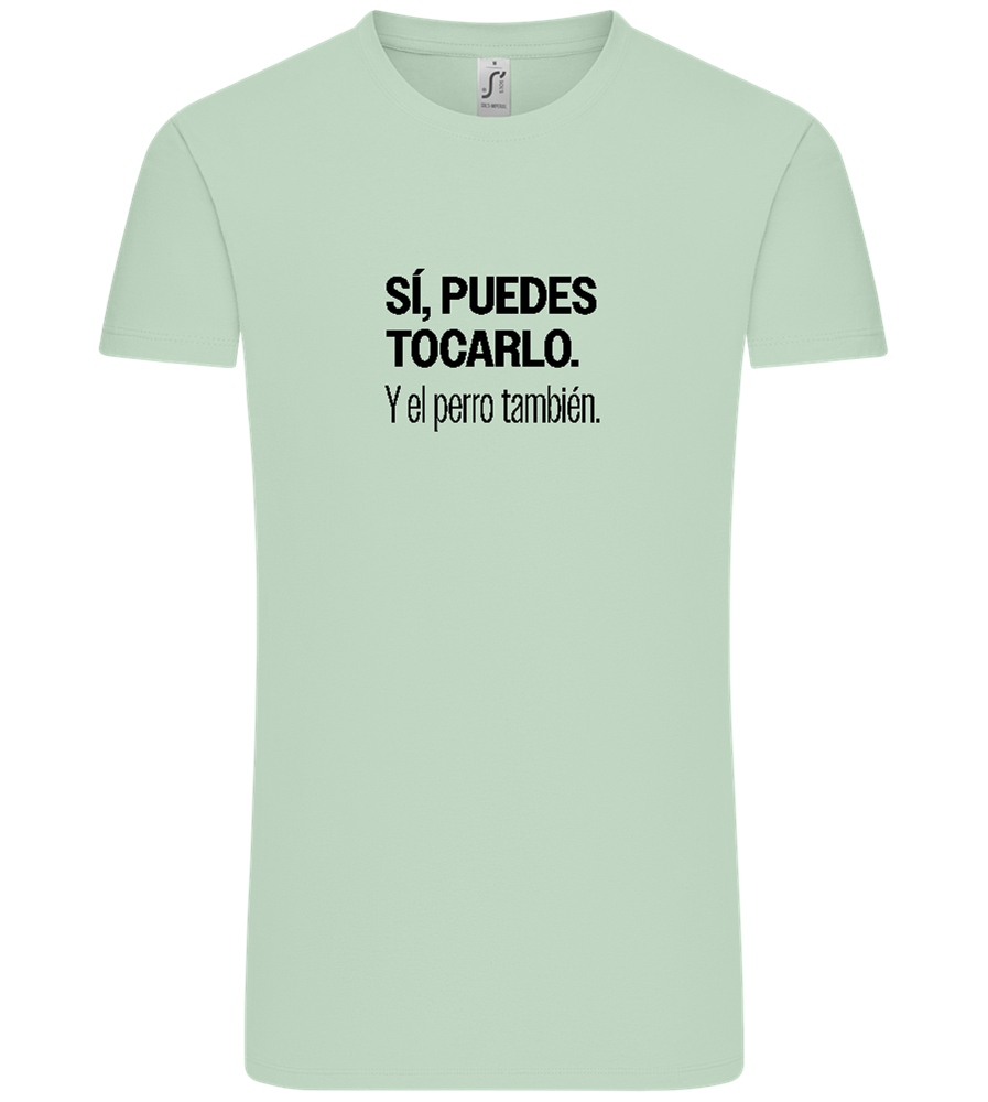 Puedes Rocarlo Design - Comfort Unisex T-Shirt_ICE GREEN_front