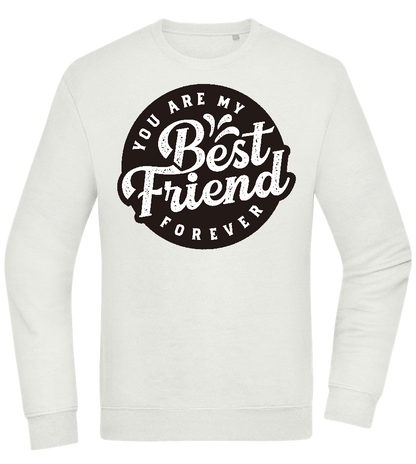 You Are My Best Friend Forever Design - Comfort Essential Unisex Sweater_CREAMY GREEN_front