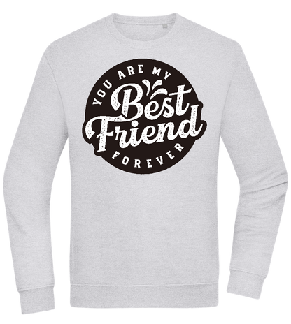 You Are My Best Friend Forever Design - Comfort Essential Unisex Sweater_ORION GREY II_front