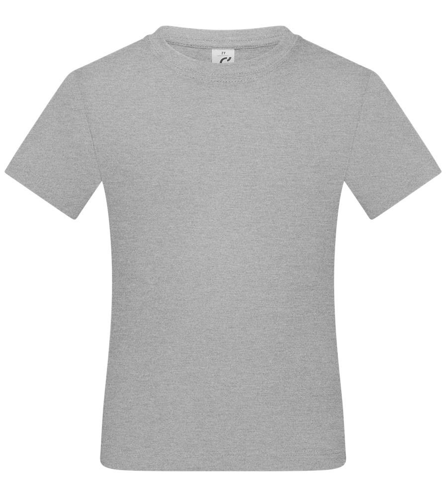 Basic kids t-shirt_ORION GREY_front