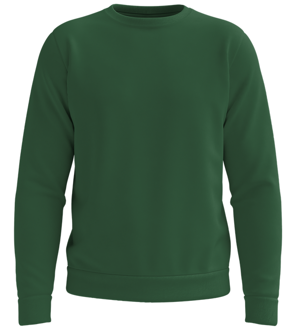 Premium organic unisex sweater_GREEN BOTTLE_front