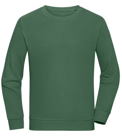 Comfort unisex sweater GREEN BOTTLE front