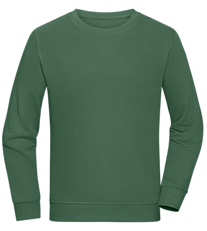 Comfort unisex sweater_GREEN BOTTLE_front