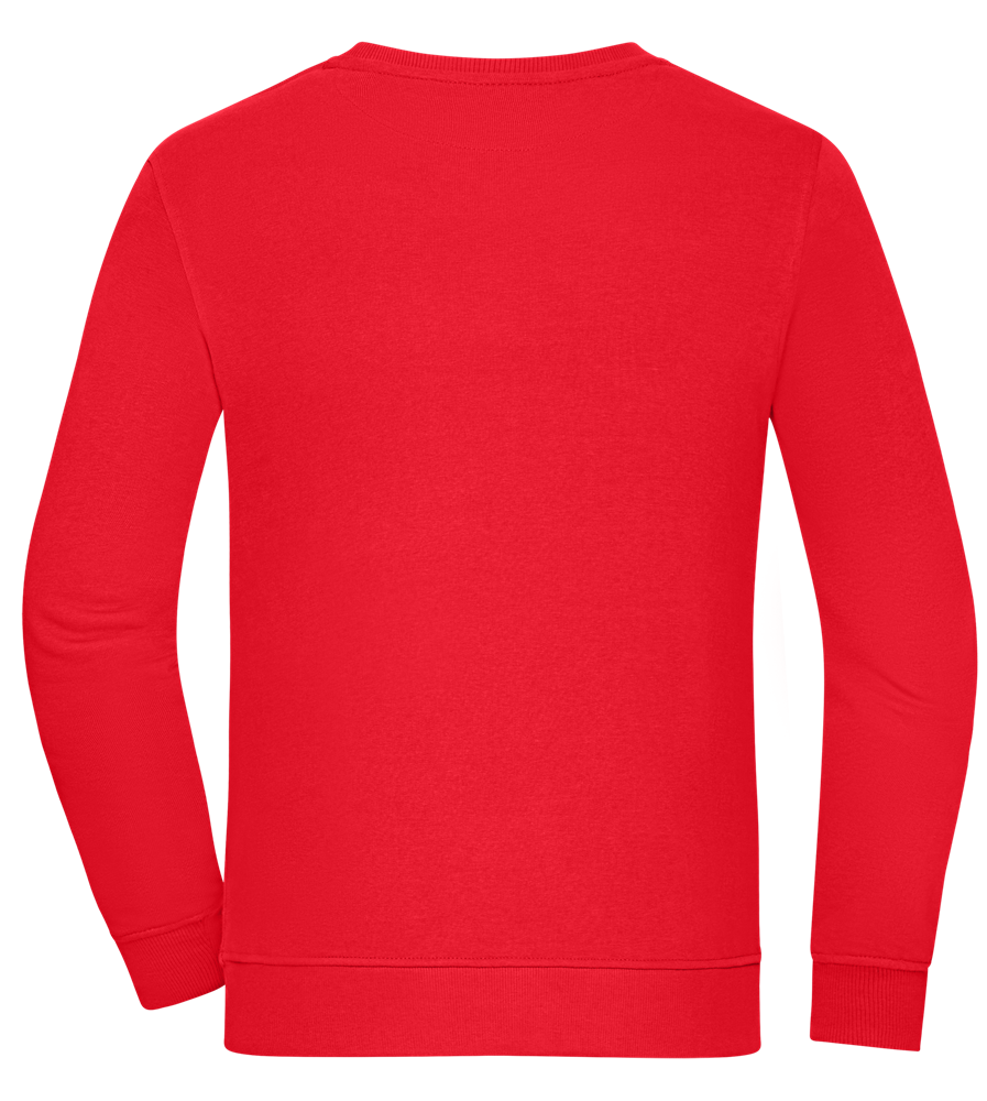 Comfort unisex sweater RED back