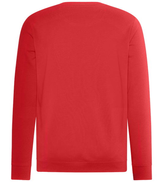 Comfort unisex sweater_RED_back