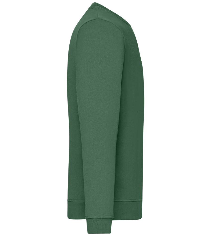 Comfort unisex sweater GREEN BOTTLE right