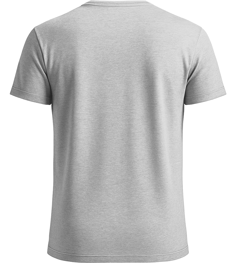 Comfort men's fitted t-shirt_ORION GREY_back