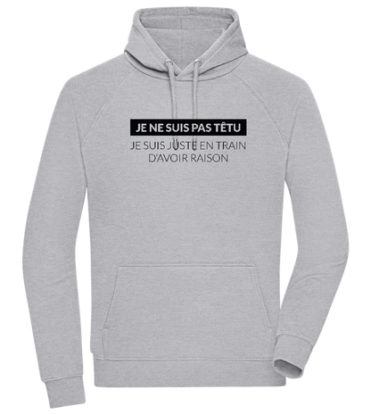 Always Right Design - Comfort unisex hoodie ORION GREY II front
