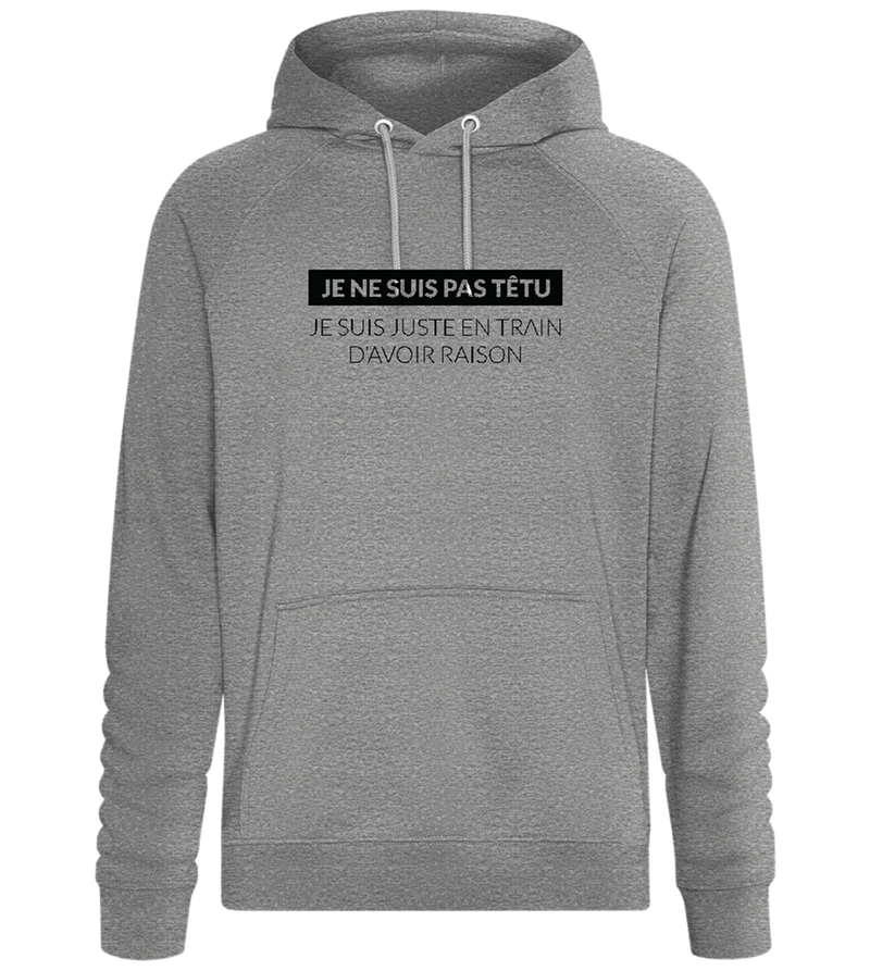 Design toujours raison -  Sweat à capuche Confort unisexe_ORION GREY II_front