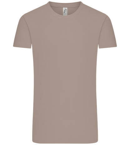 Premium men's t-shirt plus size LIGHT GRAY front