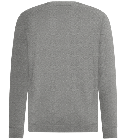 Universe Design - Comfort unisex sweater_ORION GREY II_back