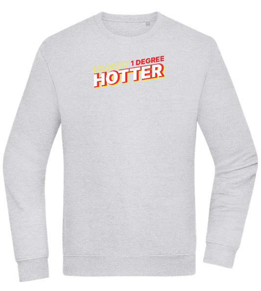 1 Degree Hotter Design - Comfort Essential Unisex Sweater_ORION GREY II_front