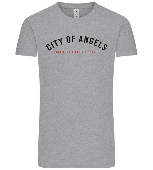 City of Angels Design - Comfort Unisex T-Shirt_ORION GREY_front