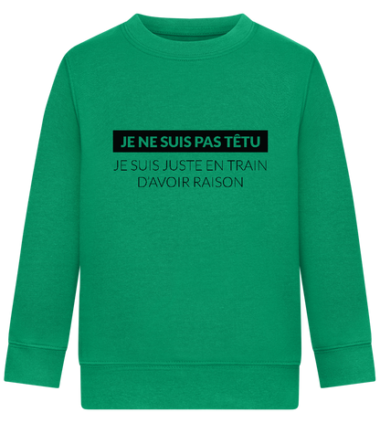 I'm Always Right Design - Comfort Kids Sweater_MEADOW GREEN_front