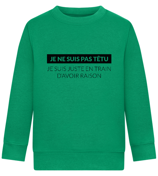 I'm Always Right Design - Comfort Kids Sweater_MEADOW GREEN_front