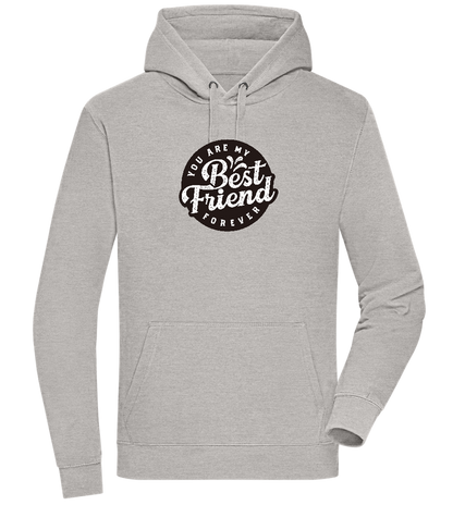 You Are My Best Friend Forever Design - Premium unisex hoodie_ORION GREY II_front