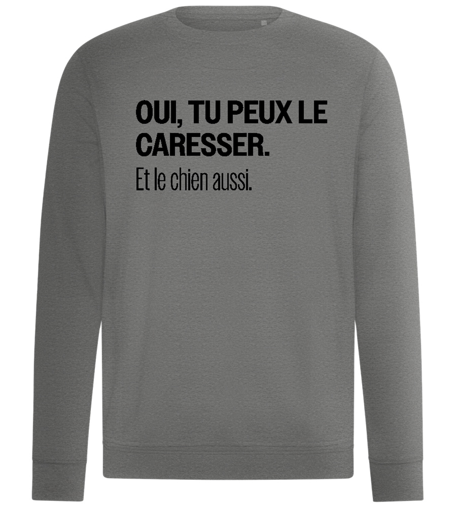 Tu Peux le Caresser Design - Comfort unisex sweater_ORION GREY II_front