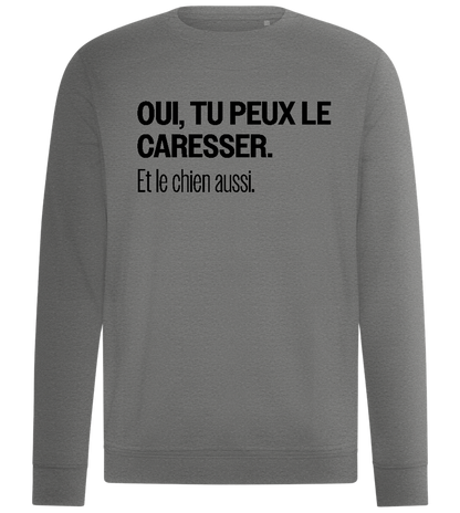 Tu Peux le Caresser Design - Comfort unisex sweater_ORION GREY II_front