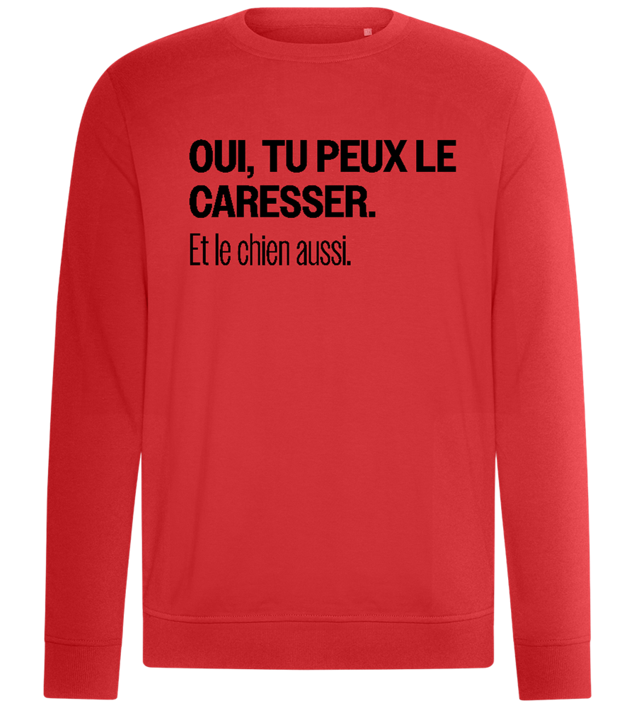 Tu Peux le Caresser Design - Comfort unisex sweater_RED_front