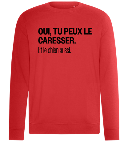 Tu Peux le Caresser Design - Comfort unisex sweater_RED_front