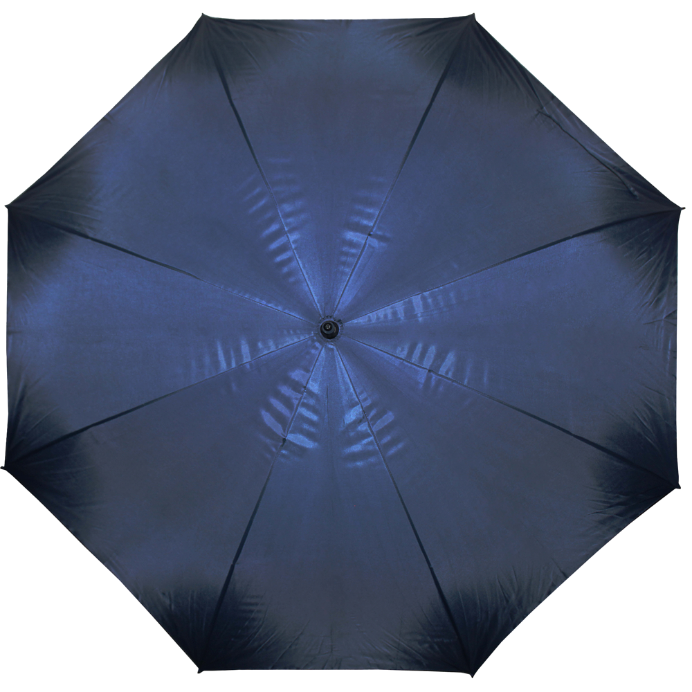 Silver Coted Inside Umbrella_BLUE_front