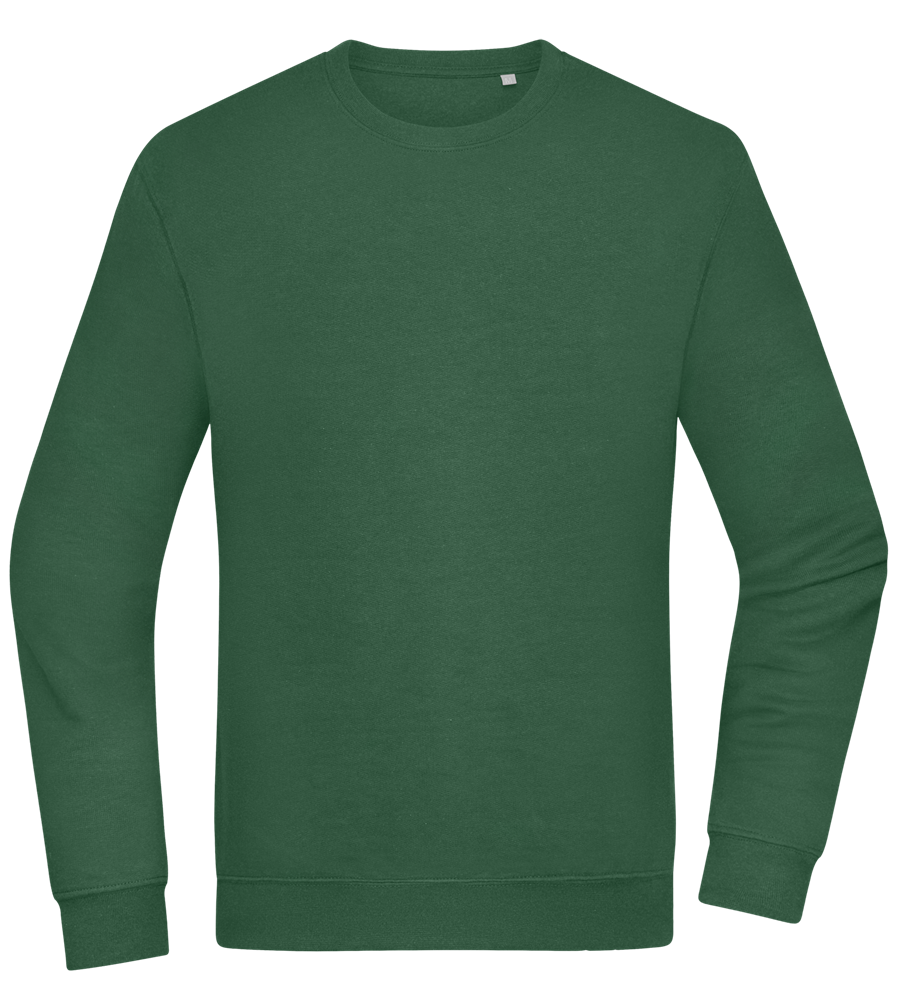 Comfort Essential Unisex Sweater_GREEN BOTTLE_front