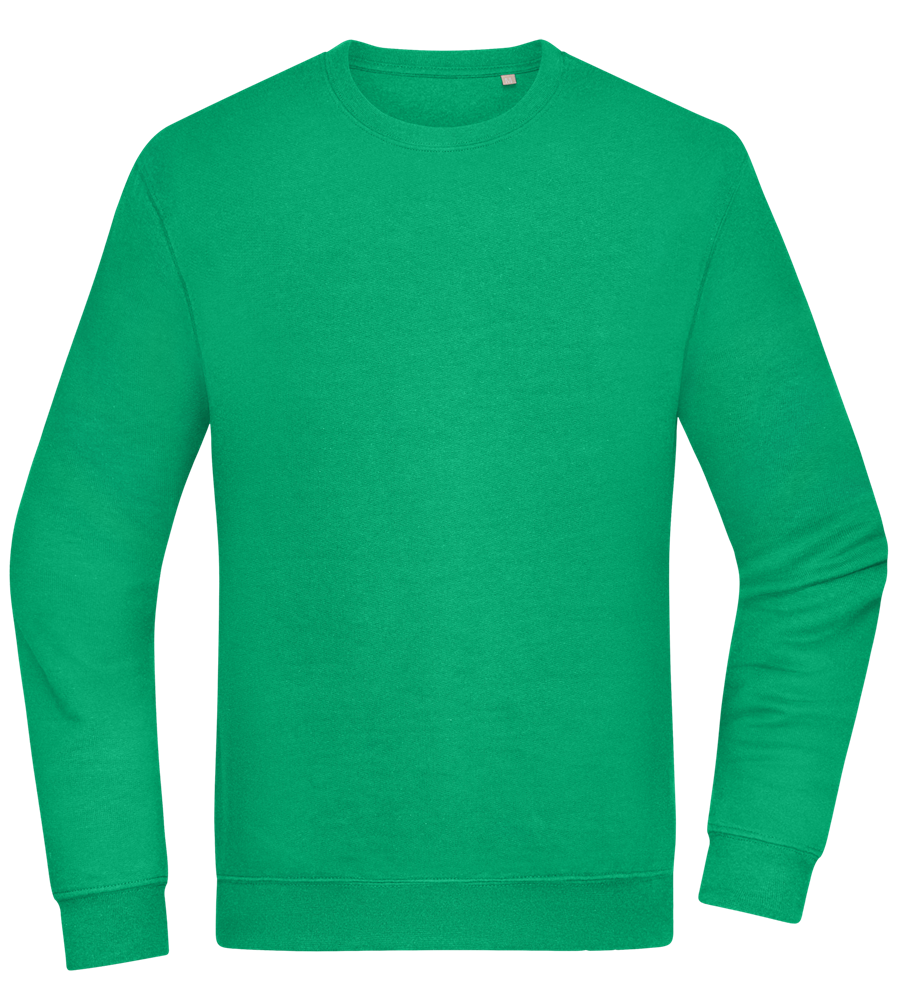 Comfort Essential Unisex Sweater_MEADOW GREEN_front