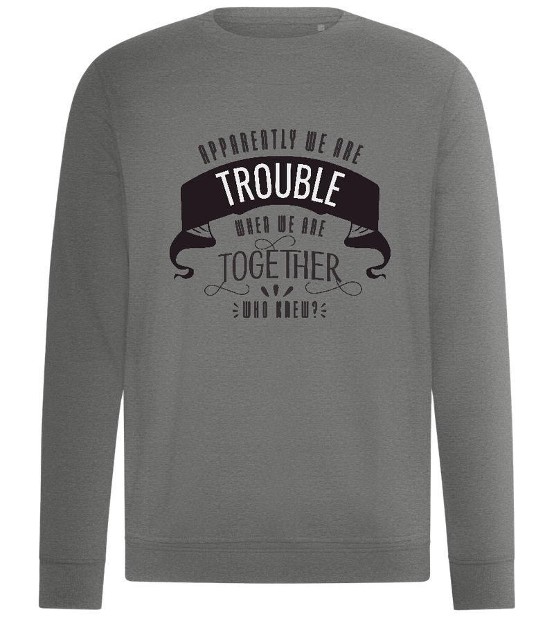 Trouble When Together Design - Comfort unisex sweater_ORION GREY II_front