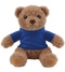 Teddy Bear Plush with Hoodie_BLUE_front