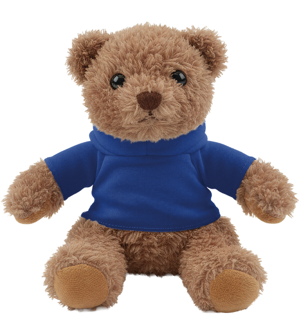 Teddy Bear Plush with Hoodie_BLUE_front