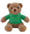Teddy Bear Plush with Hoodie_GREEN_front