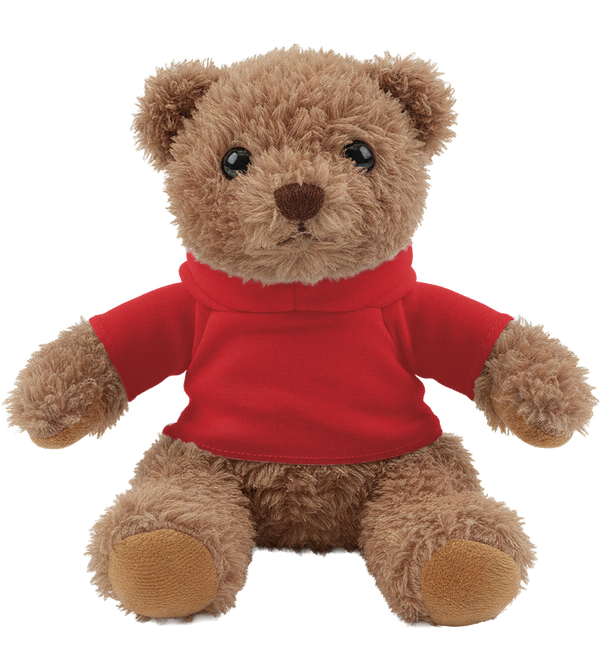 Teddy Bear Plush with Hoodie_RED_front