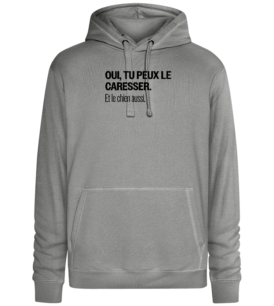 Tu Peux le Caresser Design - Premium unisex hoodie_ORION GREY II_front