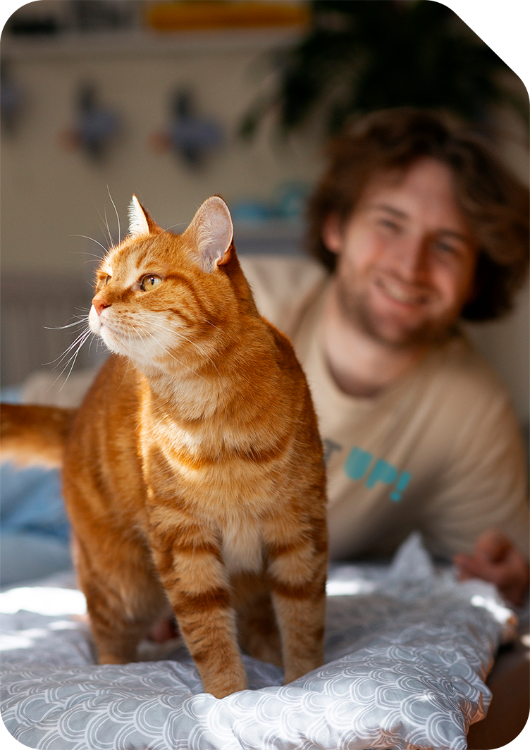 Design your own cat t-shirt at ShirtUp!