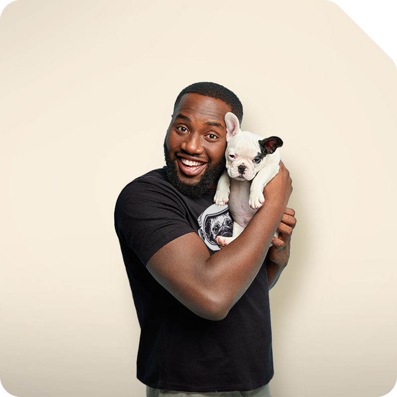 ¿Te encantan los perros? Entonces es el momen de personalizar prendas y accesorios con nuestras ilustraciones de perros.