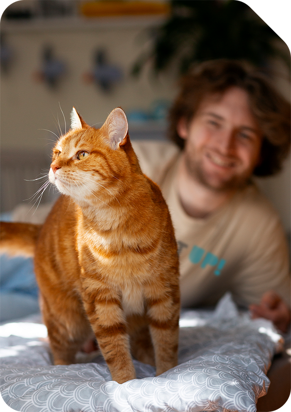 Personnalise ton propre t-shirt avec des chats chez ShirtUp!