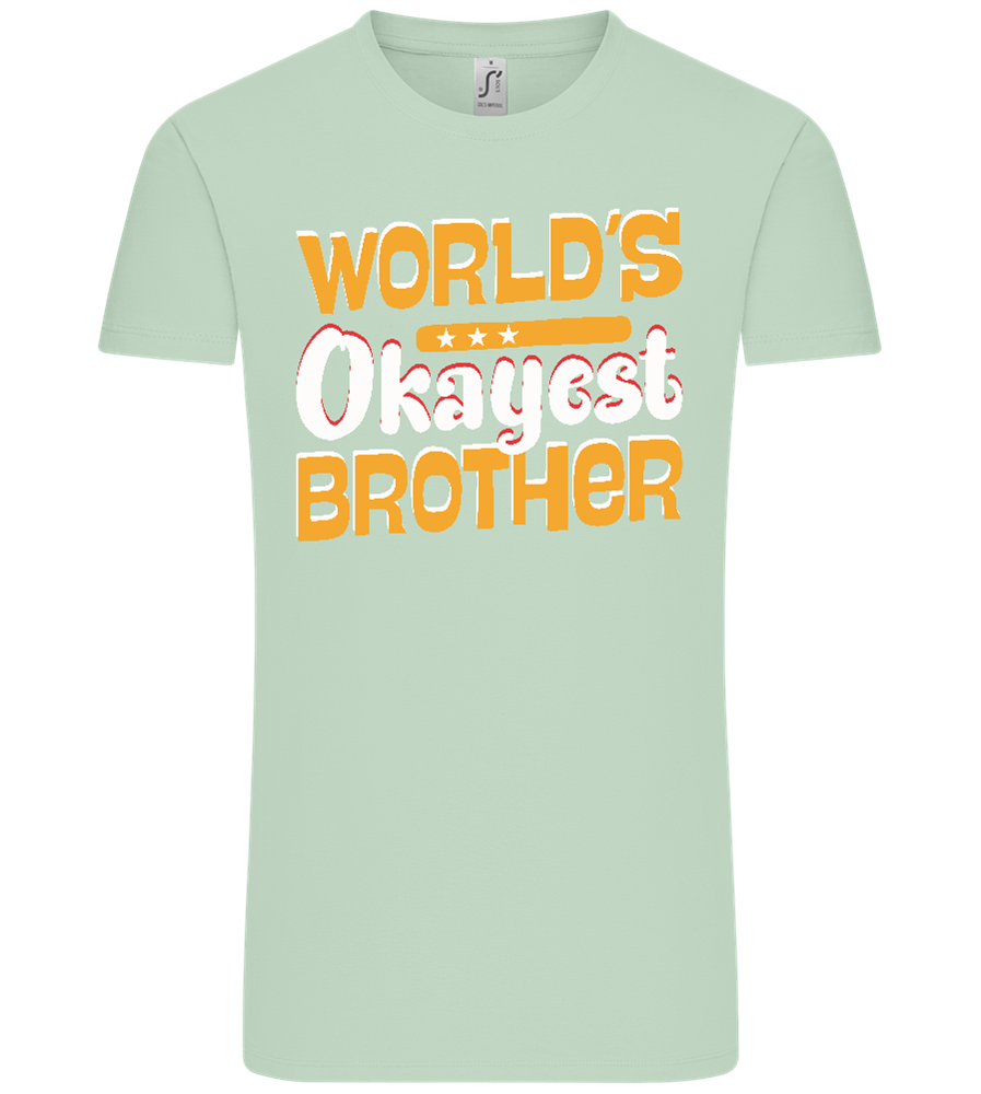 World's Okayest Brother Design - Comfort Unisex T-Shirt_ICE GREEN_front
