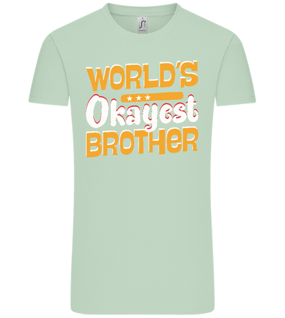 World's Okayest Brother Design - Comfort Unisex T-Shirt_ICE GREEN_front