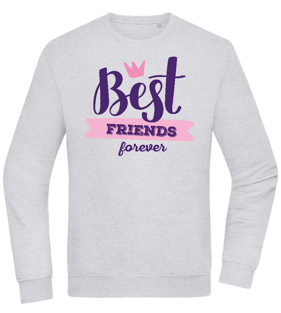 Best Friends Forever 1 Design - Comfort Essential Unisex Sweater_ORION GREY II_front