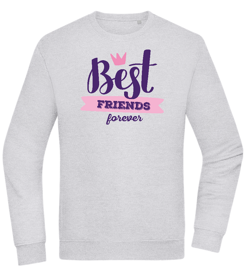 Best Friends Forever 1 Design - Comfort Essential Unisex Sweater_ORION GREY II_front