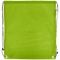 Eco-Friendly RPET Drawstring Bag_LIME_front