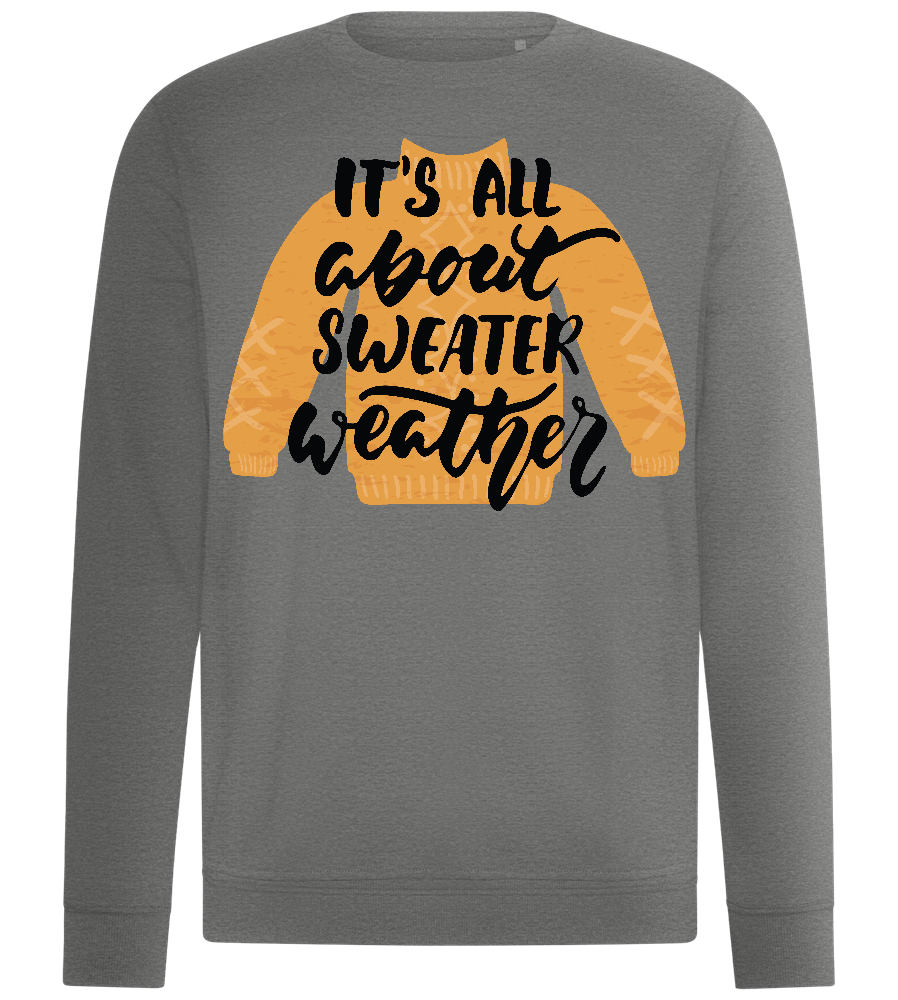 About Sweater Weather Design - Comfort unisex sweater_ORION GREY II_front